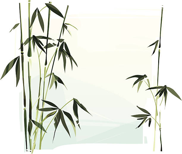 Bamboo Illustration of a bamboo. Bamboo and background are grouped and layered separately. chinese culture paintings bush painting stock illustrations