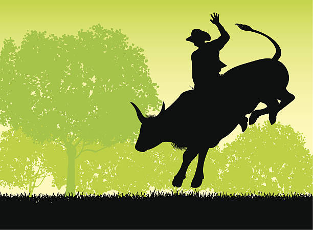 bull rider-rodeo kowboj - rodeo bull bull riding cowboy stock illustrations