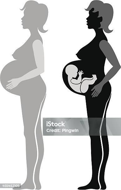 Mulher Grávida - Arte vetorial de stock e mais imagens de Adulto - Adulto, Bebé, Corpo humano