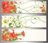 istock Easter Lily Banner 455452327