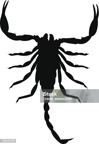 Scorpion Silhouettes Vecteurs libres de droits et plus d'images vectorielles de Scorpion - Scorpion, Illustration, Insecte