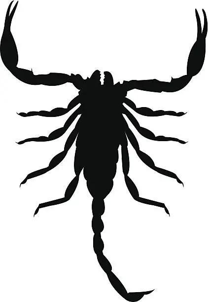 Vector illustration of Scorpion Silhouettes