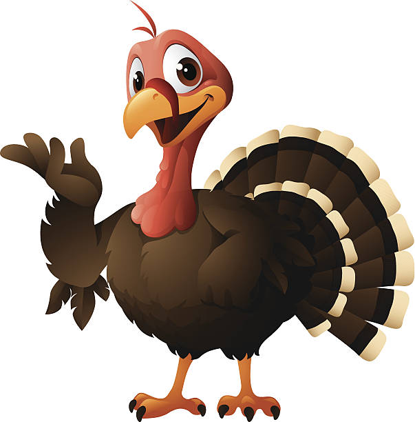 Cartoon graphics of turkey - cartoon illustration of smiling turkey turkey stock illustrations