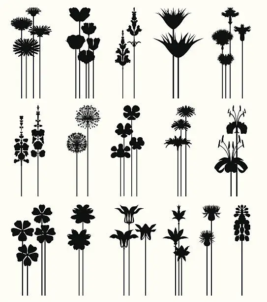 Vector illustration of Symmetrical flowers