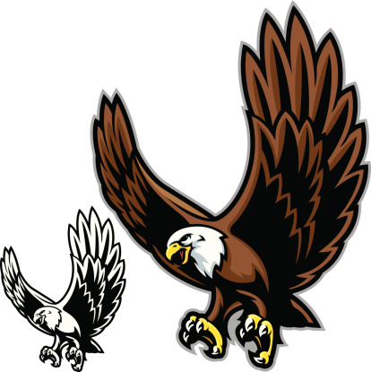 This is a simplified illustration of an Eagle landing. Bold linework and clean edged. A Black and white version is also included. All secondary color levels are removable down to a simple flat color image. The file is provided as an Illustrator 8 EPS and a 300dpi high-rez jpg.