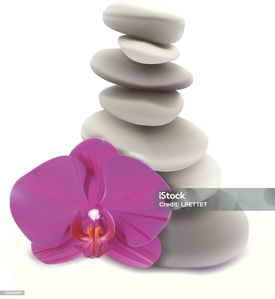 Orchid And Stones  - Vector Illustration Zen-like stock vector