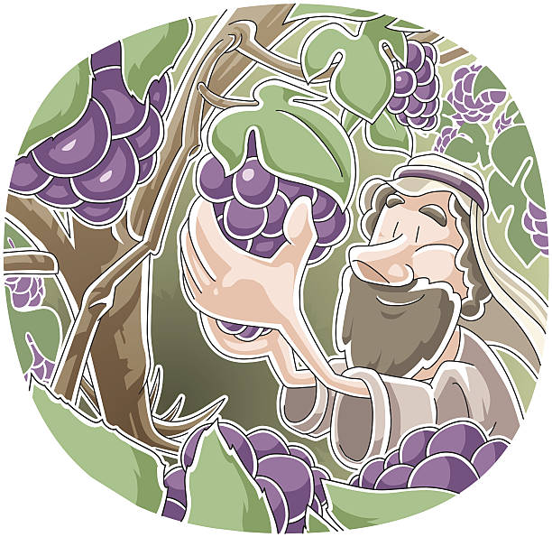 Parable of the vine and branches John 15:1-7 grape pruning stock illustrations