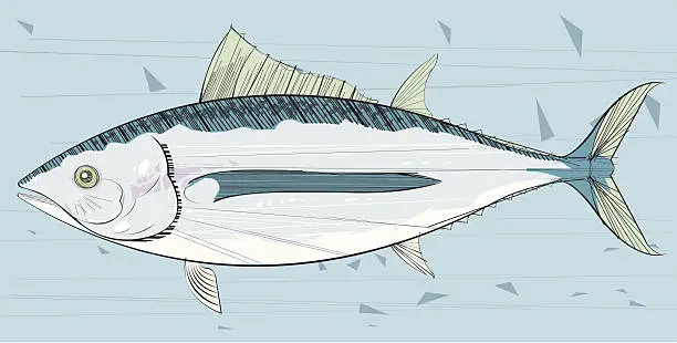 Vector illustration of Tuna