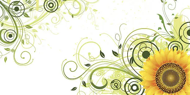 Vector illustration of Sunflower Banner