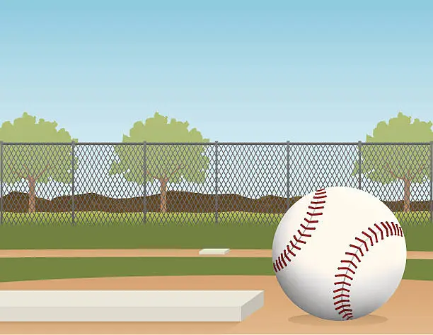 Vector illustration of Baseball in the park