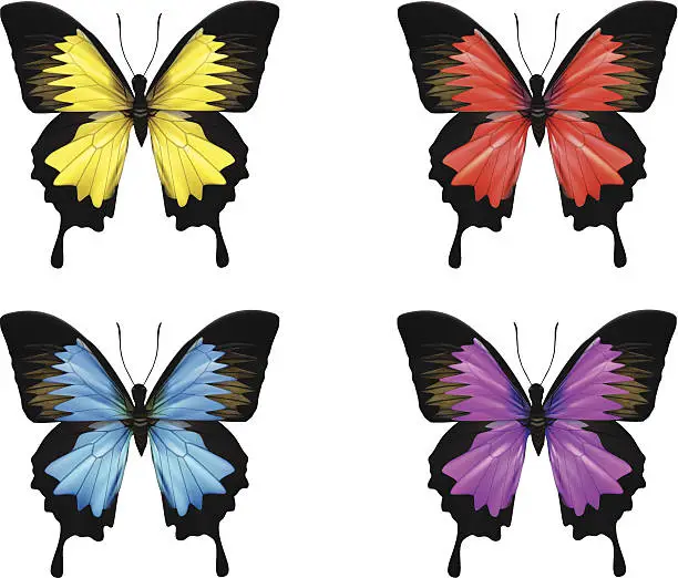 Vector illustration of Butterfly-Vector Illustration