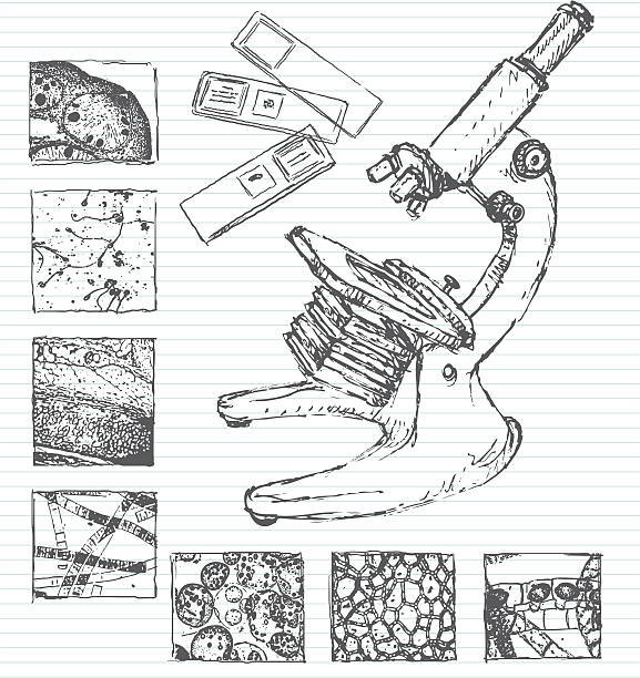 현미경으로 낙서 - microscope slide stock illustrations