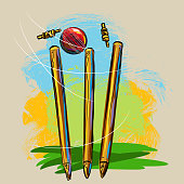 istock Cricket Wickets and Ball 455462413