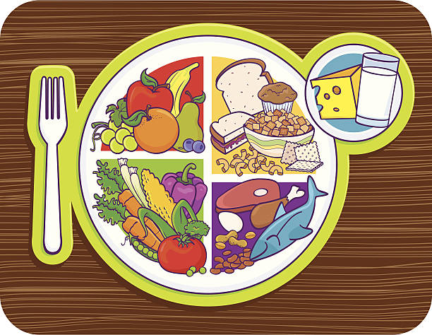 My Plate Food Pyramid Stock Illustration - Download Image Now - Healthy  Eating, Plate, Food Pyramid - iStock