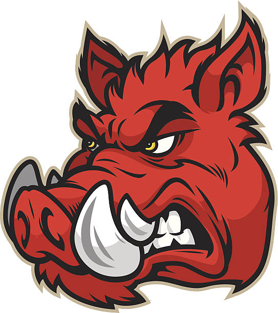 razorback head - świnia domowa stock illustrations