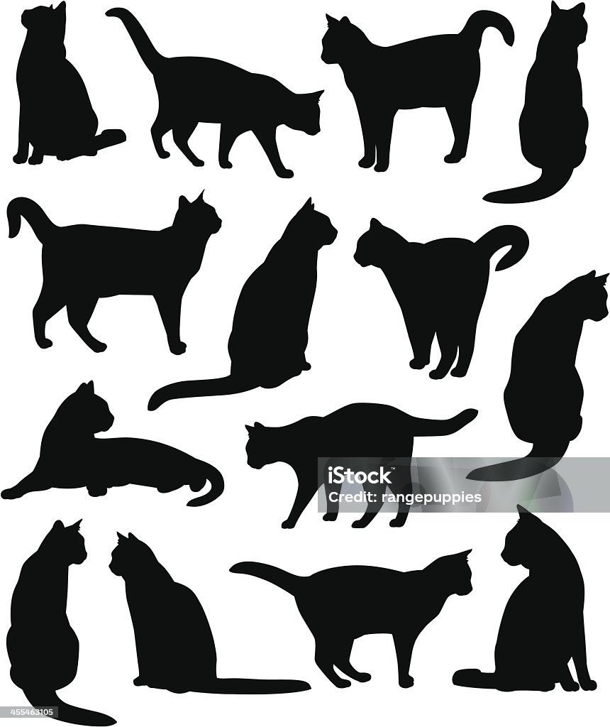 Kitty chats - clipart vectoriel de Chat domestique libre de droits