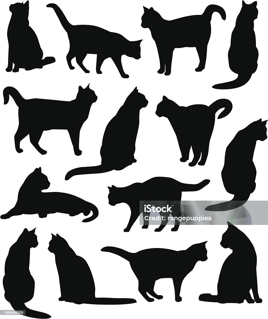 Kitty gatos - Royalty-free Gato domesticado arte vetorial