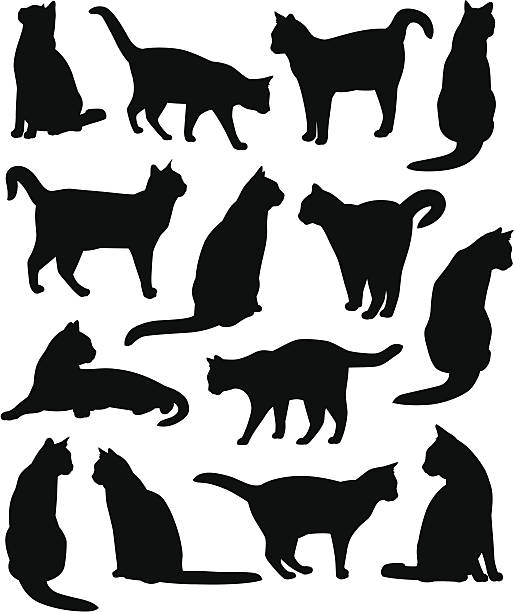 Kitty Cats vector art illustration