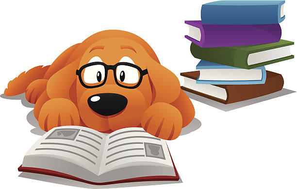 Dog Reading Stock Illustration - Download Image Now - Dog, Reading, Book -  iStock