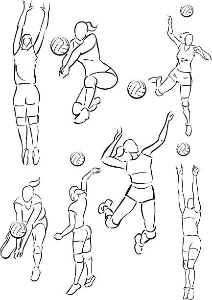 ilustraciones, imágenes clip art, dibujos animados e iconos de stock de femenino de voleibol - volleyball volleying women female
