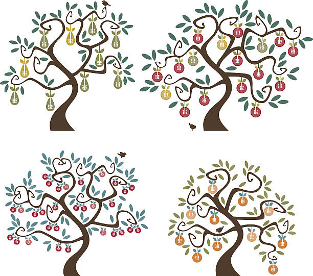 ilustraciones, imágenes clip art, dibujos animados e iconos de stock de árboles frutales - orchard flower apple tree tree