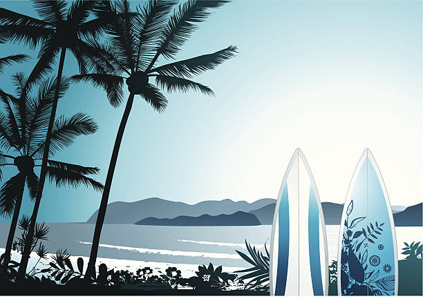 hawaiian surf - tree wind palm tree hawaii islands stock-grafiken, -clipart, -cartoons und -symbole