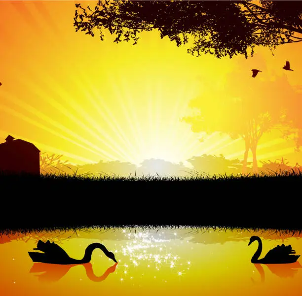 Vector illustration of Sunset on a lake