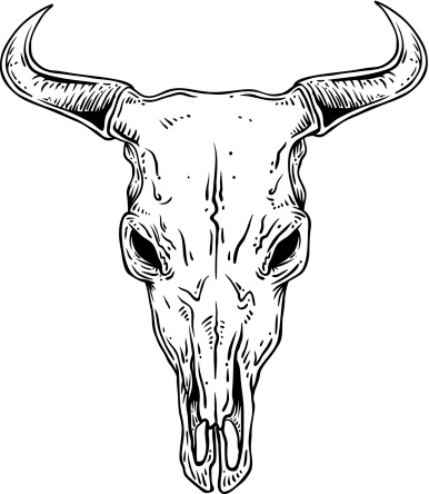 An outline illustration of a steer skull.