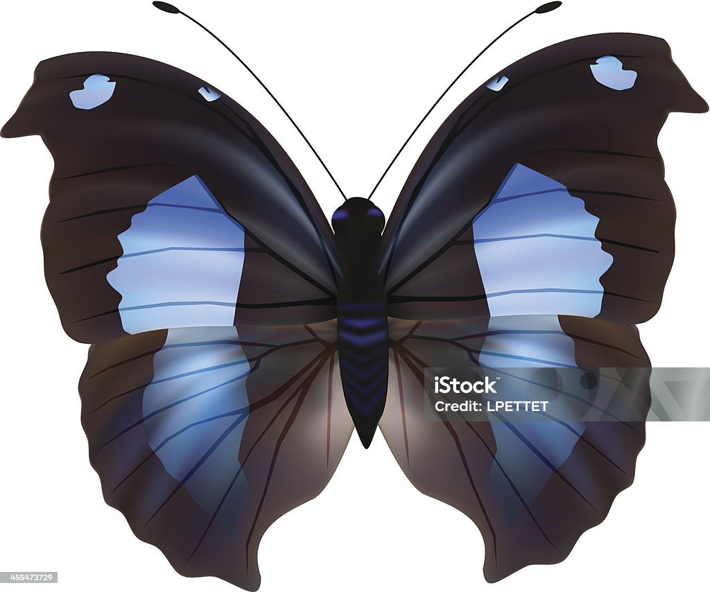 Papillon-Illustration vectorielle - clipart vectoriel de Aile d'animal libre de droits