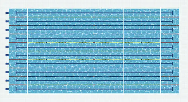 Vector illustration of Olympic Size Swimming Pool