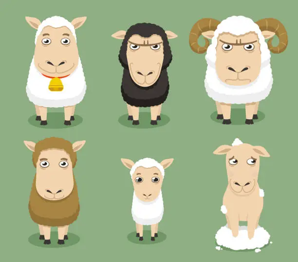 Vector illustration of Sheep mood set with six different sheeps