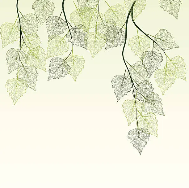 Vector illustration of spring leaves