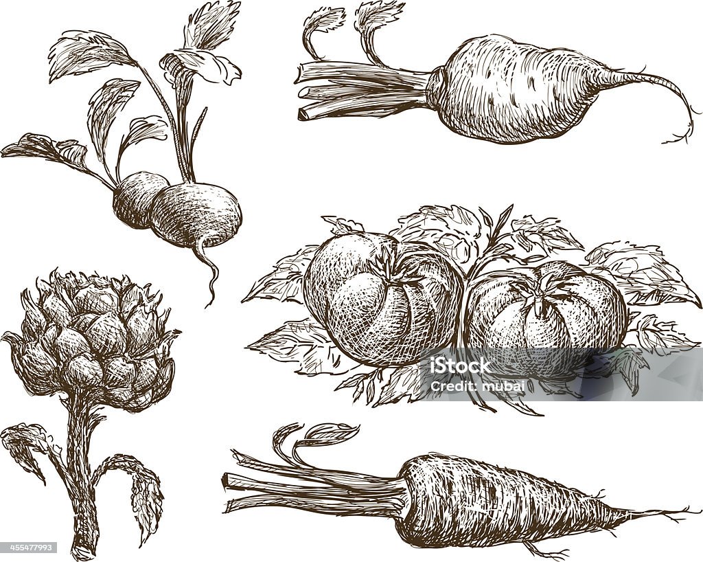 Legumes - Vetor de Legume royalty-free