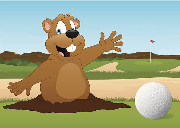546 Funny Cartoon Golf Ball Illustrations & Clip Art - iStock