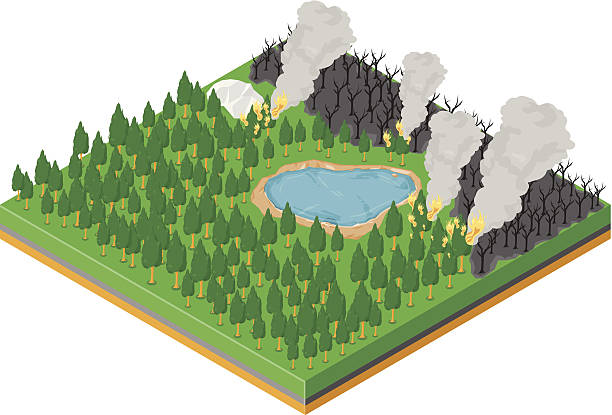 Forest Fire A vector illustration of an isometric forest fire with smoke and burning trees. wildfire smoke stock illustrations