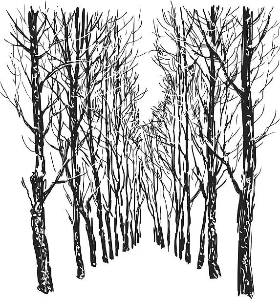 Vector illustration of Trees in winter park