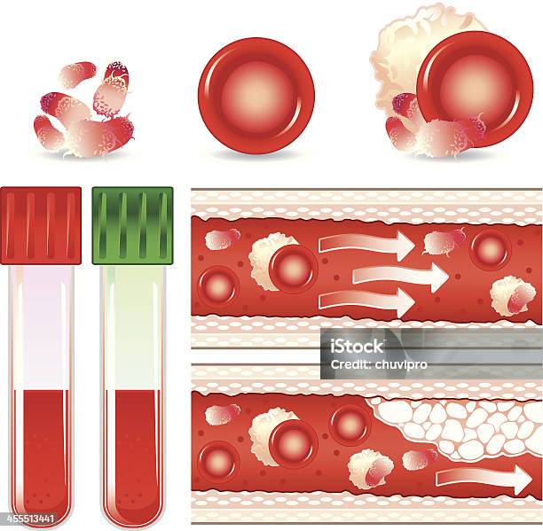 Sangue E I Vasi - Immagini vettoriali stock e altre immagini di Globulo bianco - Globulo bianco, Globulo rosso, Arteria umana