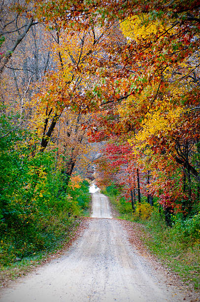 istock Gravel Road in Autumn 455515223