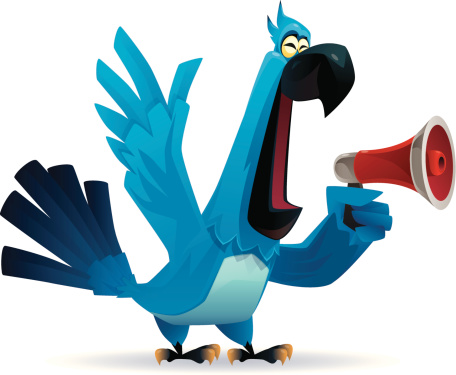 vector character of funny parrot holding megaphone…