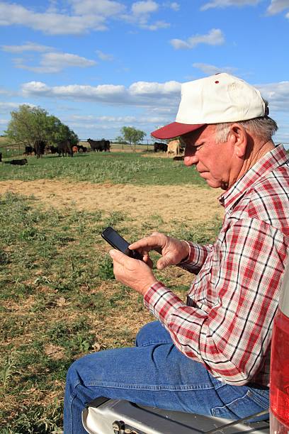 istock Agriculture: Farmer or rancher in field with Smart Phone, Cattle 455582885