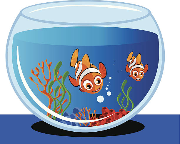 Aquarium and Fish Vector Aquarium and Fish goldfish bowl stock illustrations