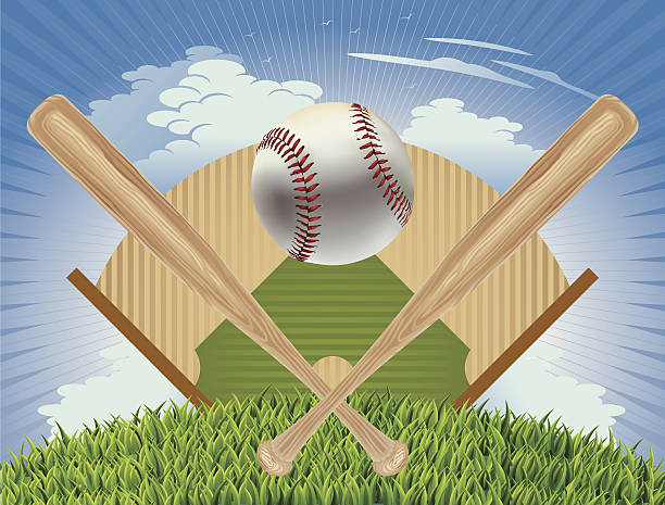 ilustraciones, imágenes clip art, dibujos animados e iconos de stock de béisbol; bate de béisbol y campo plan vector - baseball baseball bat baseballs baseball diamond