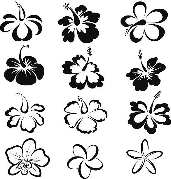 tropikalnych kwiaty - design yellow floral pattern design element stock illustrations