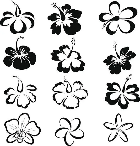 Vector illustration of Black and white drawings of tropical flowers