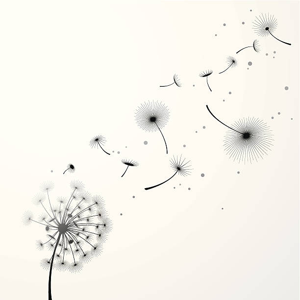 latar belakang dandelion - time life ilustrasi stok