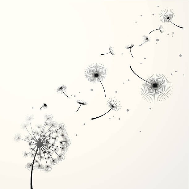 Dandelion Background Vector illustration of Dandelion Background are done by single gradient tone only. Change color is easy, simply select the whole graphic and change the gradient's color. monochrome clothing stock illustrations