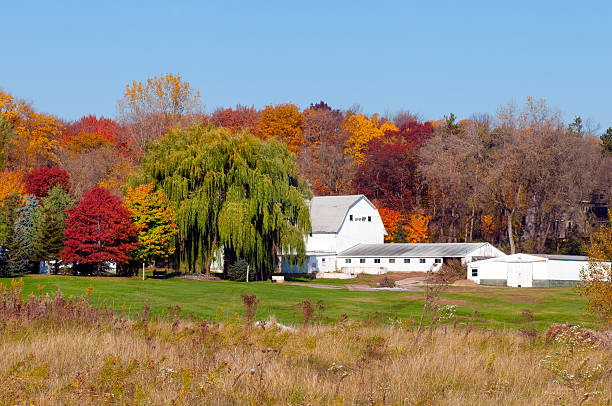 istock Midwest Farm on an Autumn Day 455586361