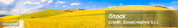 Italien Toskana Hill Sommer Landschaft Panorama Mit Gelb Weizen F Stockfoto und mehr Bilder von Anhöhe