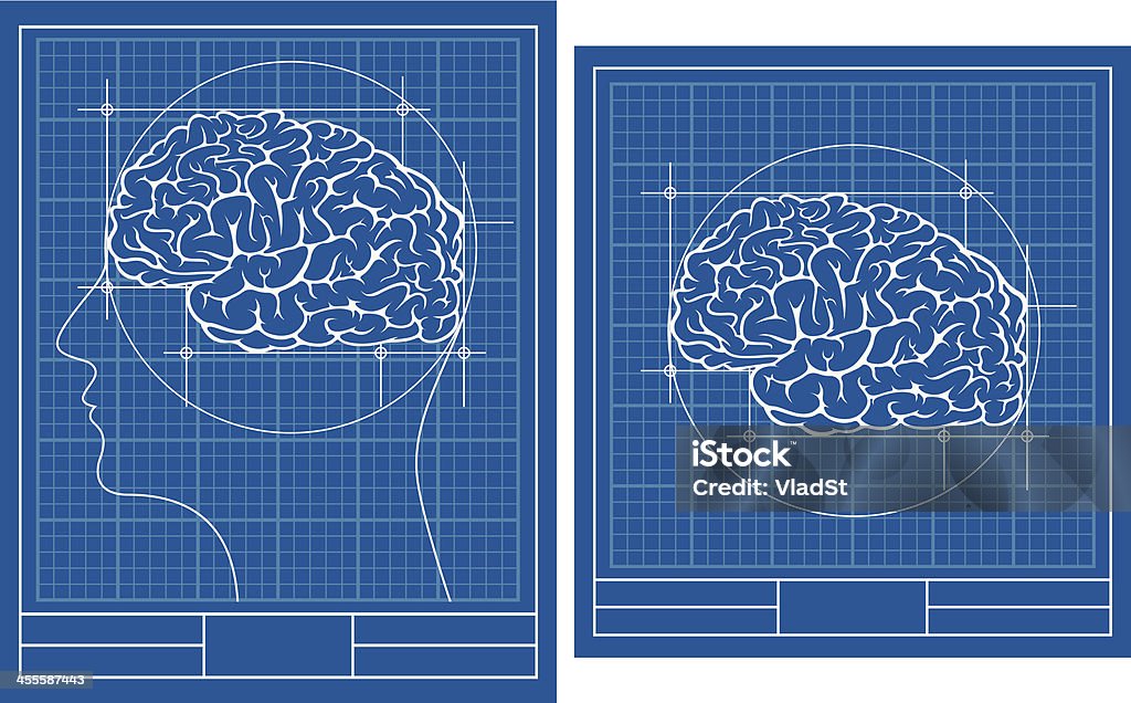 Bosquejo de cerebro - arte vectorial de Cianotipo - Plano libre de derechos