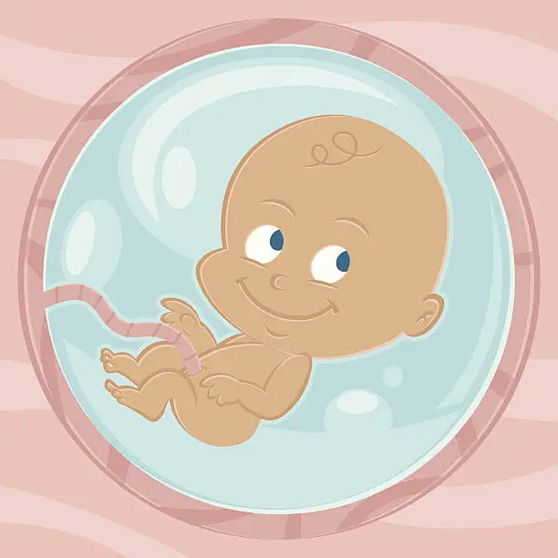 Vector illustration of Baby in a belly